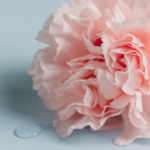 Menopausa, libido e capelli: il legame tra terapia antiandrogena, testosterone e alopecia femminile